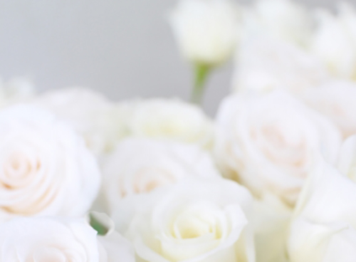 f:id:vidro-man:20190625003135j:plain